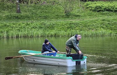 Pracownicy Uniwersytetu Przyrodniczego prowadzą odłów siatką z łódki, w tle trawiasty brzeg