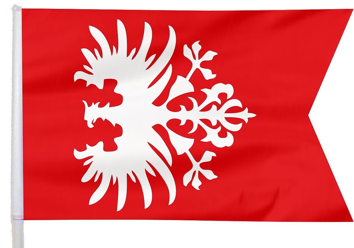 102 Rocznica Powstania Wielkopolskiego Dla Mieszkanca Aktualnosci Kalisz Pl
