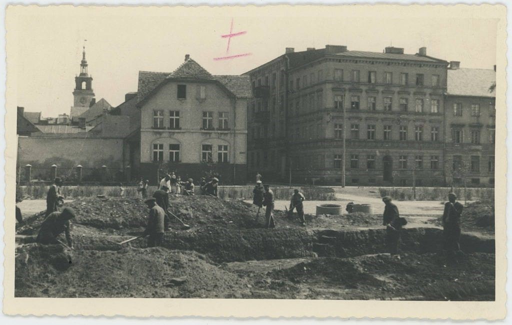 8 urządzanie-plant-45-Muzea Wielkopolski-1024x651.jpeg [112.95 KB]
