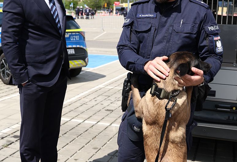 IMG_4522.jpg