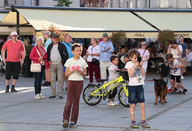 IMG_1878.jpg