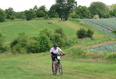 IMG_4370.jpg