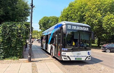 Biało-niebieski autobus linii 19 stoi przy zatoce przystankowej wyłożonej kamienną kostką, po lewej stronie chodnik i latarnia uliczna, po prawej ulica i linia drzew