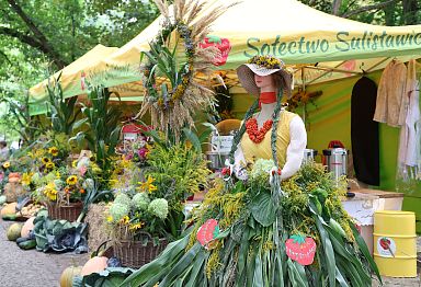 IMG_1118.jpg